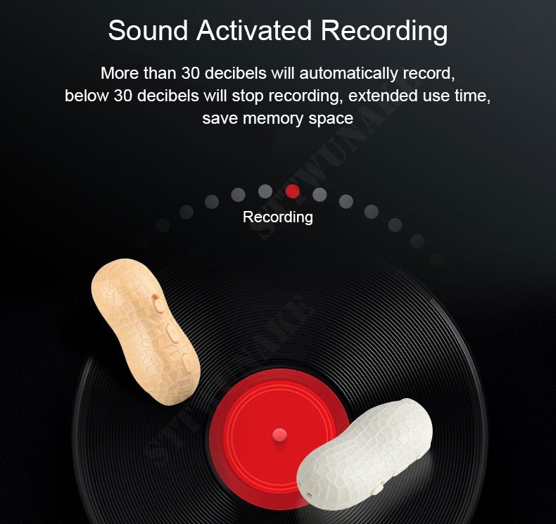 garso ir diktofonas – garso aktyvuotas įrašymas