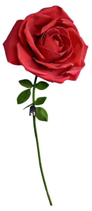XXL didžiulė rožė - Rožės kaip dovana moteriai